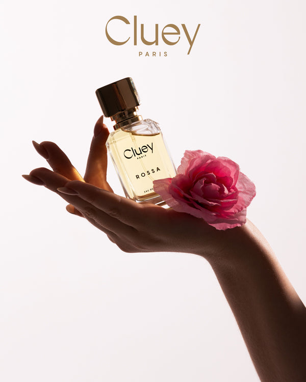 Cluey Rossa perfume